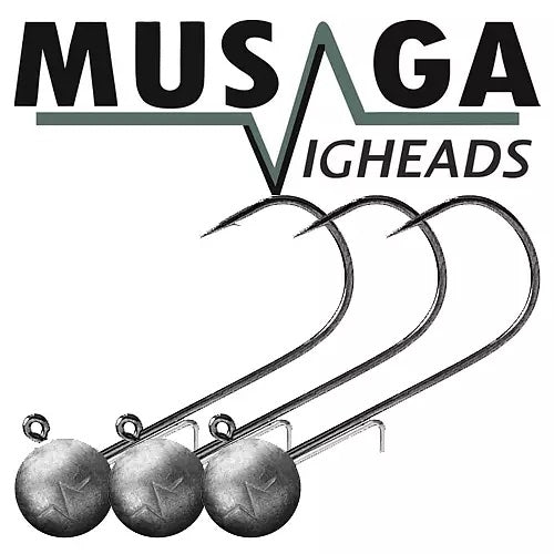 Musaga