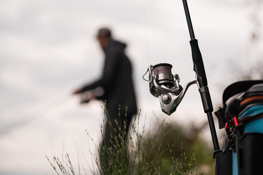 FAVORITE - Black Swan Fishing Rods