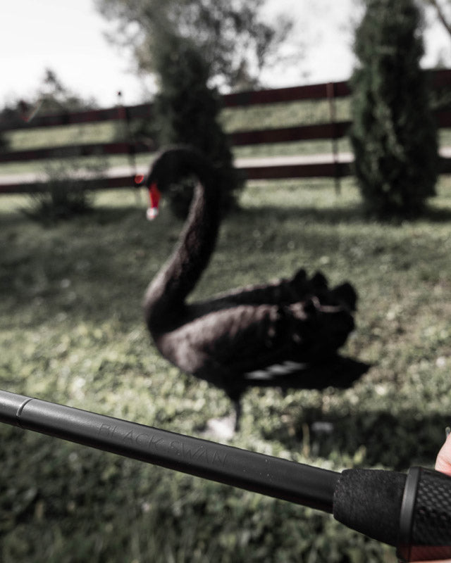 FAVORITE - Black Swan Fishing Rods