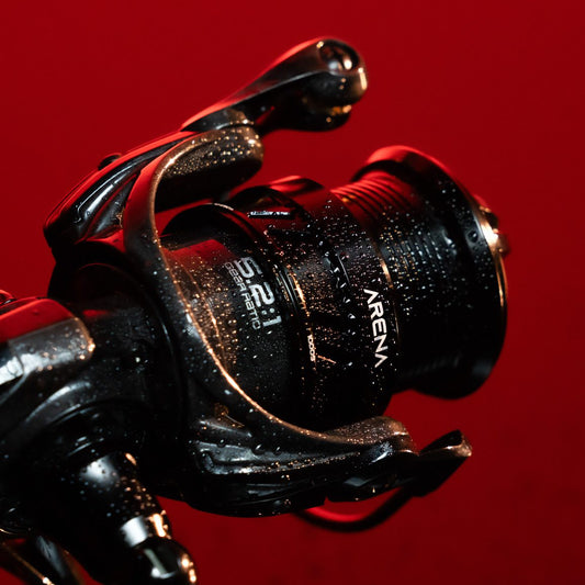 FAVORITE - Arena Spinning Reel